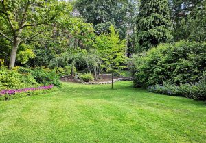 Optimiser l'expérience du jardin à Saint-Ferreol-Trente-Pas
